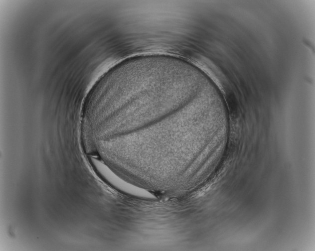 X0000098001093200804141201
