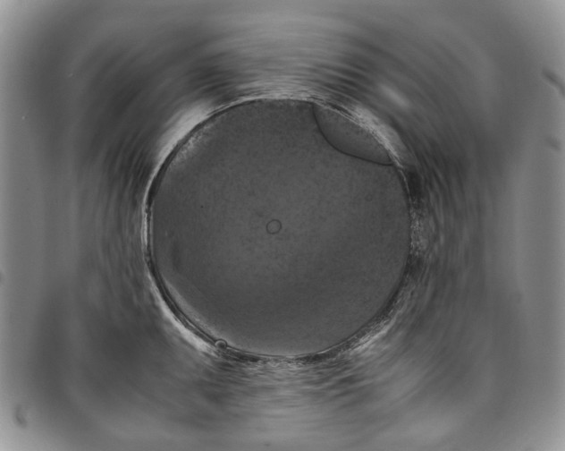X0000098001095200804141201