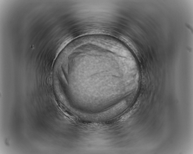 X0000098001097200804141201