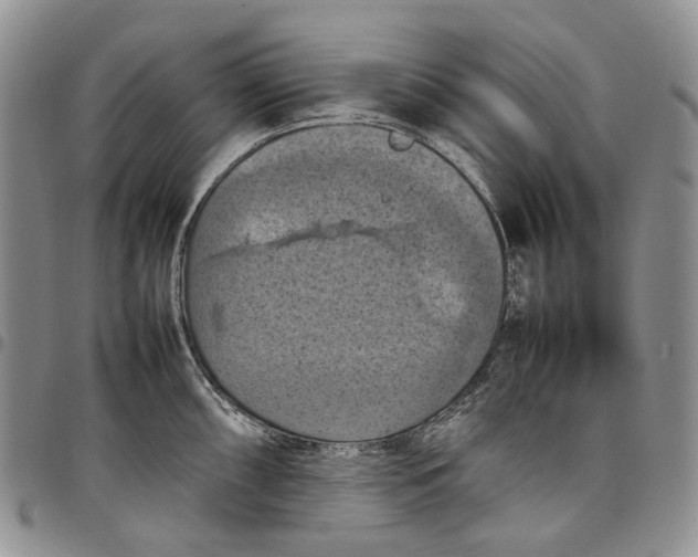 X0000098001098200804141201