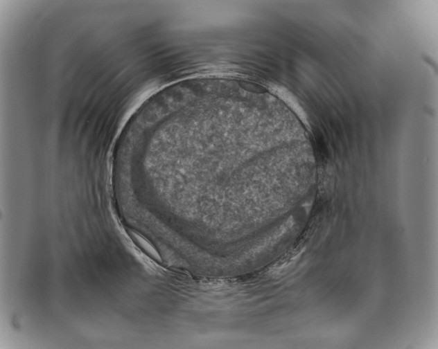 X0000098001099200804141201