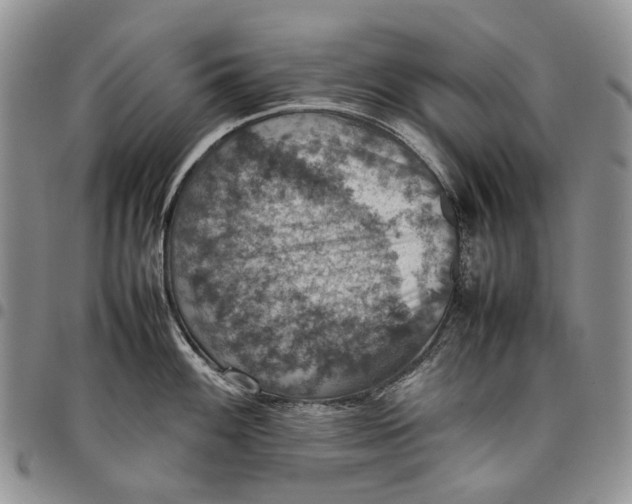 X0000098001100200804141201