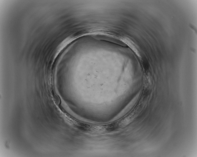 X0000098001101200804141201
