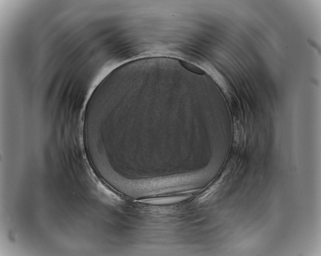 X0000098001102200804141201
