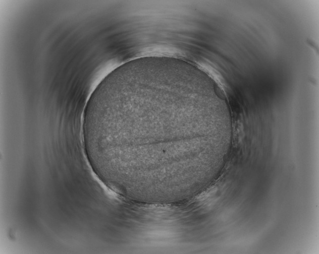 X0000098001103200804141201