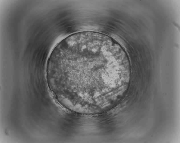 X0000098001104200804141200