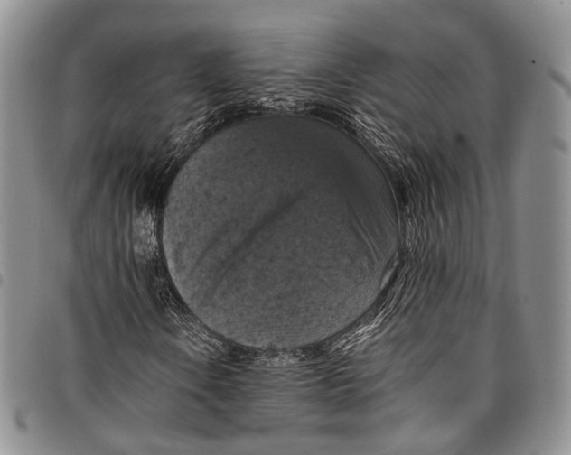X0000098001106200804141200