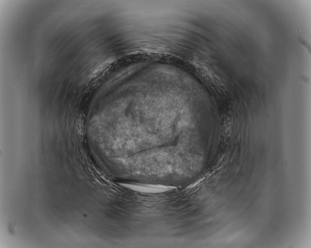 X0000098001110200804141200