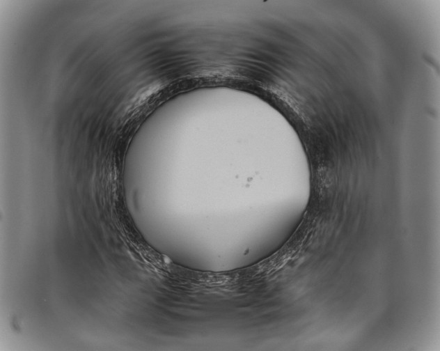 X0000098001111200804141200