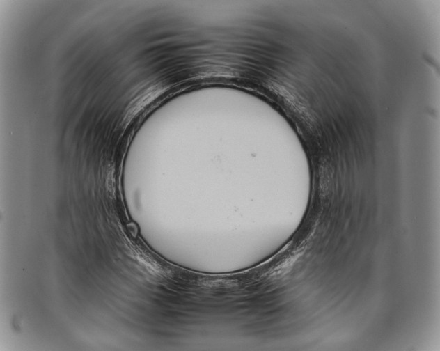 X0000098001113200804141200