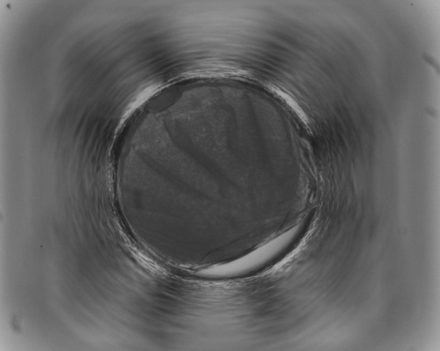 X0000098001114200804141200