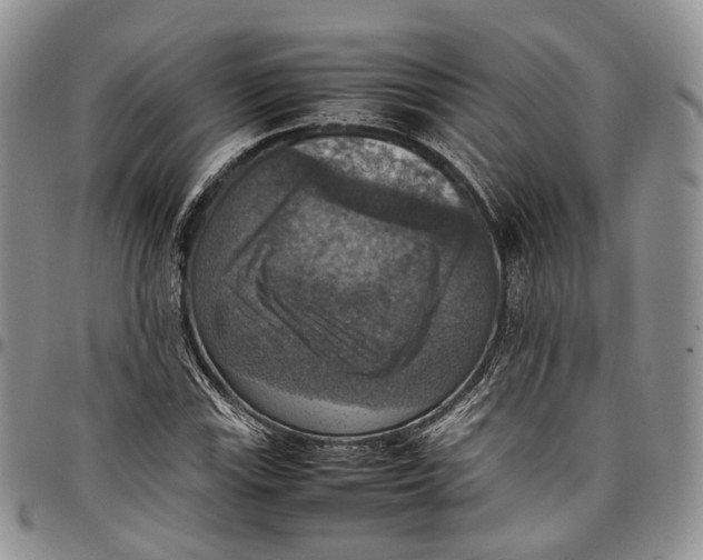 X0000098001115200804141200