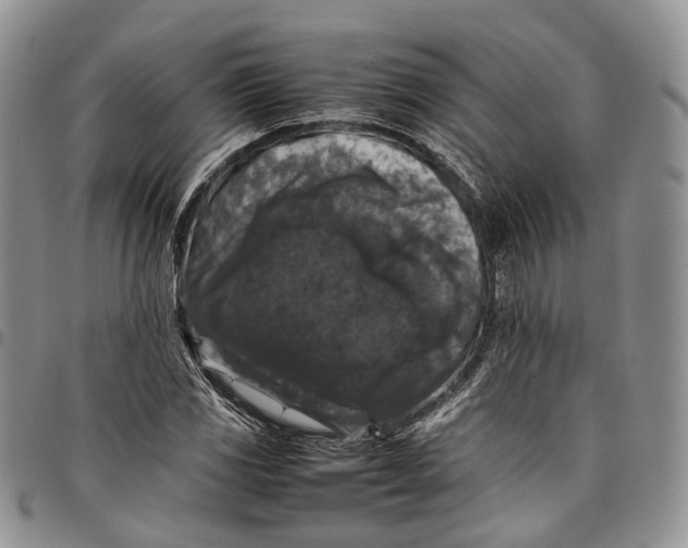 X0000098001117200804141200