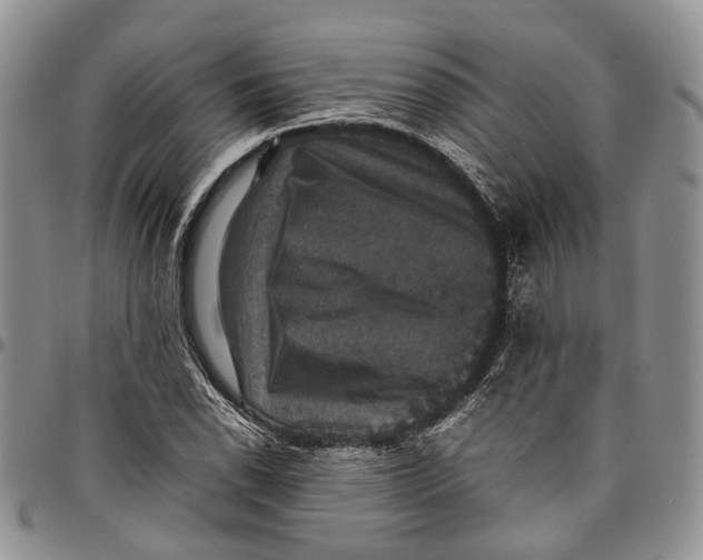 X0000098001118200804141200