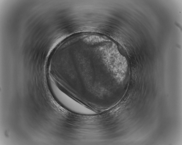 X0000098001120200804141200
