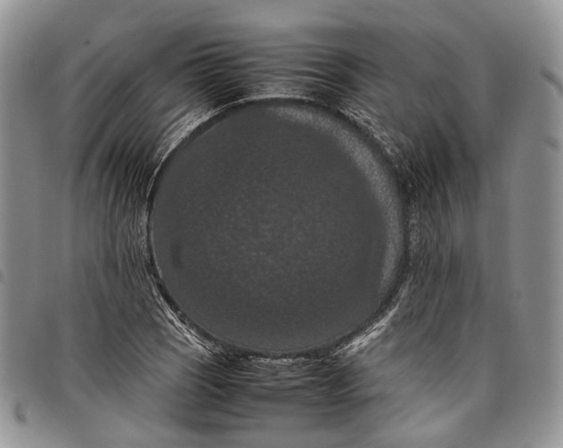 X0000098001121200804141200