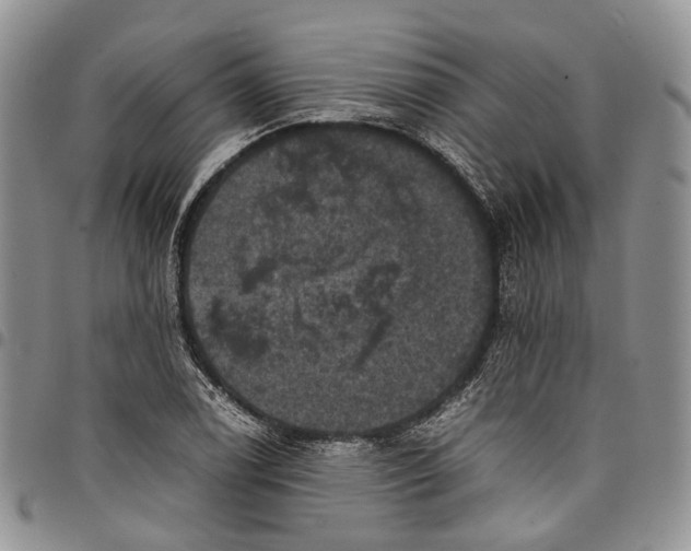 X0000098001122200804141200