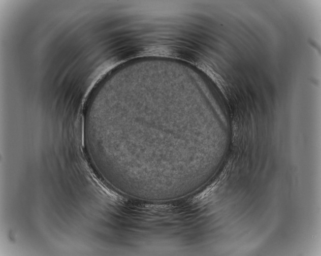 X0000098001123200804141200