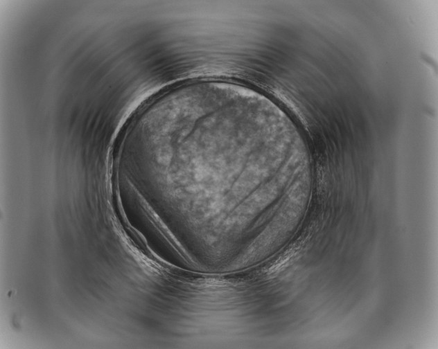 X0000098001124200804141200
