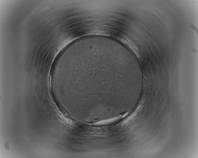 X0000098001125200804141200