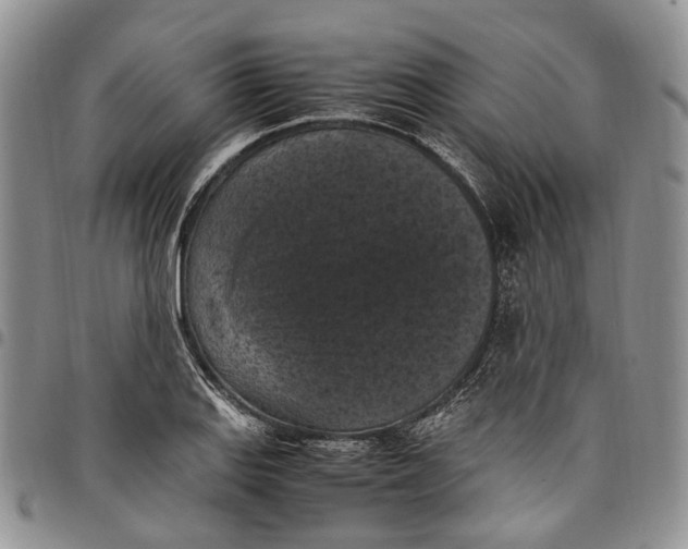 X0000098001127200804141200