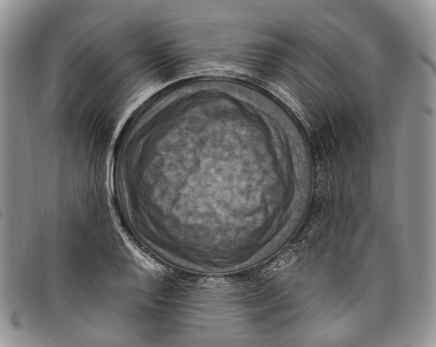 X0000098001128200804141200