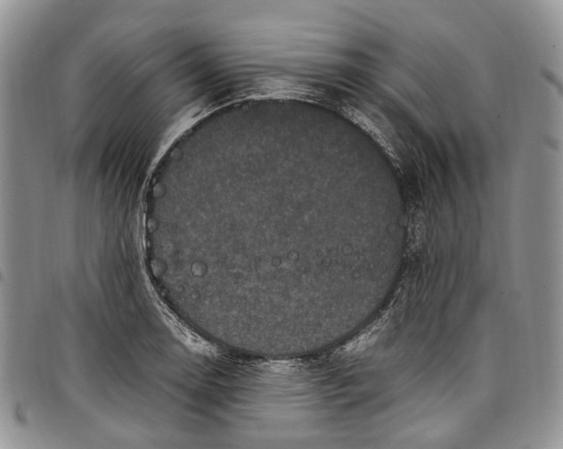 X0000098001130200804141200