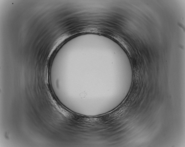 X0000098001131200804141200