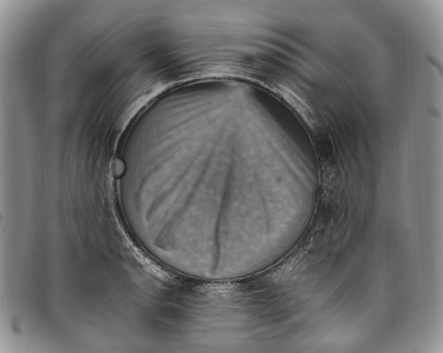 X0000098001134200804141200
