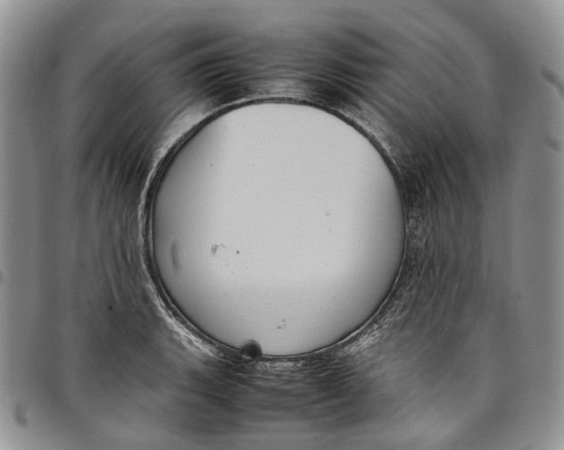 X0000098001135200804141200
