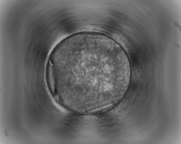 X0000098001136200804141200