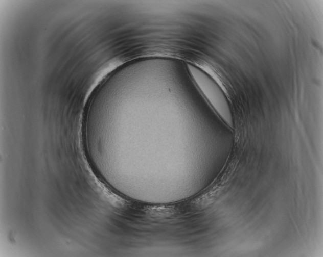 X0000098001139200804141200