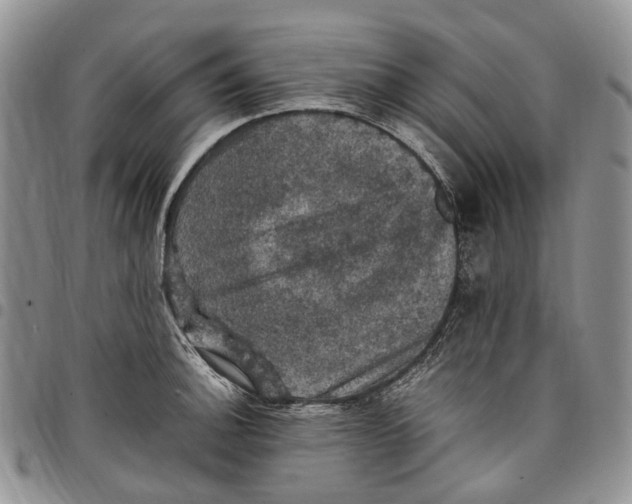 X0000098001140200804141200