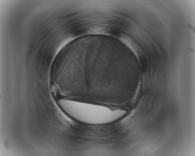 X0000098001141200804141200
