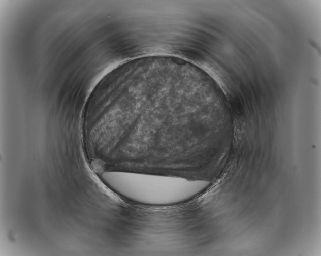 X0000098001142200804141200