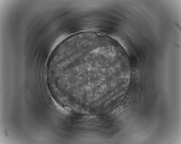 X0000098001143200804141200