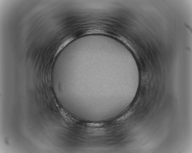 X0000098001145200804141200