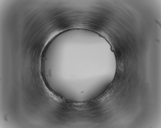 X0000098001147200804141200