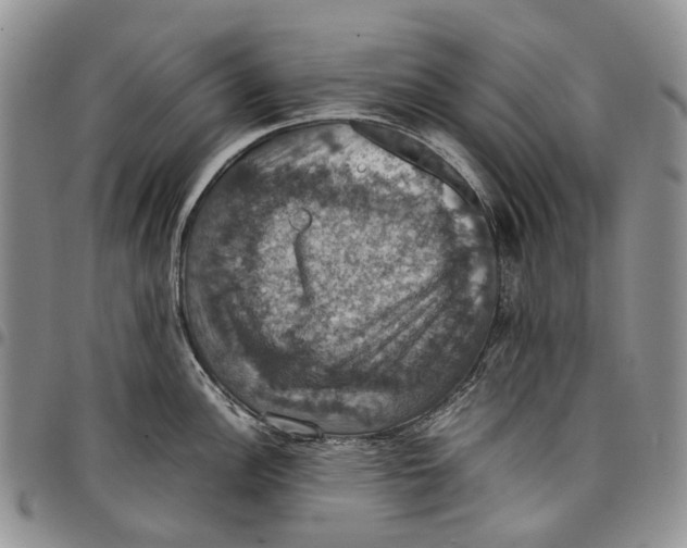 X0000098001148200804141200