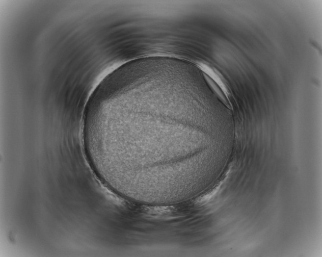X0000098001149200804141200
