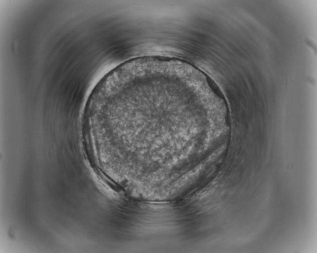 X0000098001152200804141200