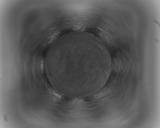 X0000098001154200804141200