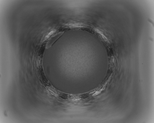 X0000098001157200804141200