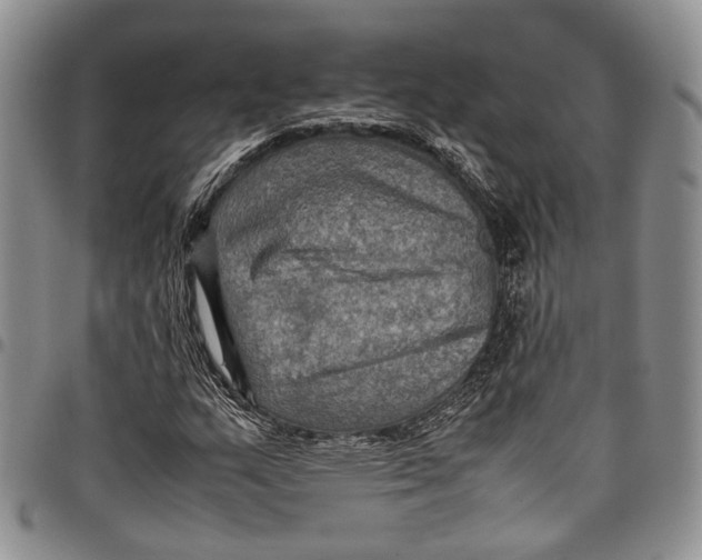 X0000098001159200804141200