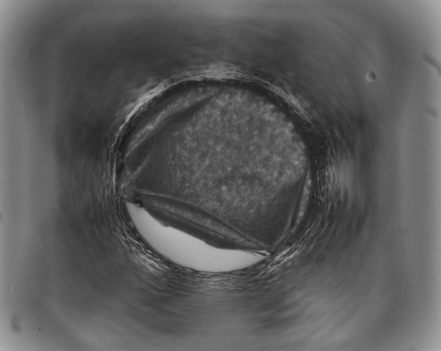 X0000098001160200804141200