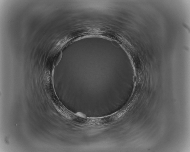 X0000098001161200804141200