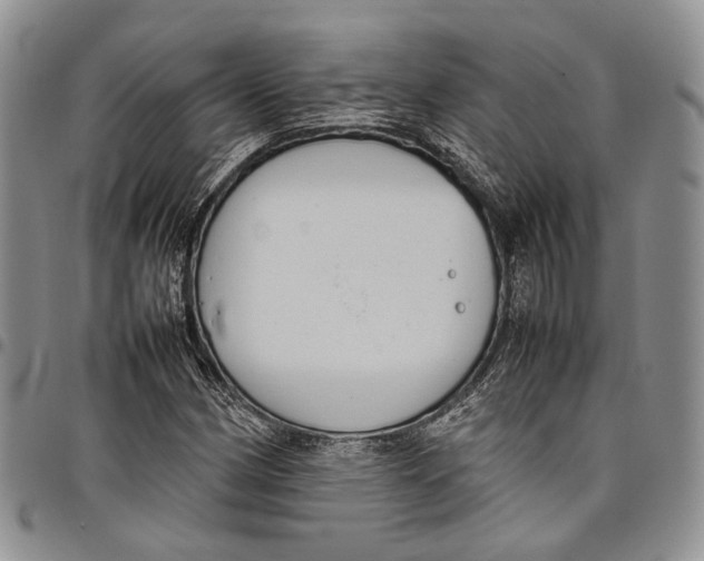 X0000098001162200804141200