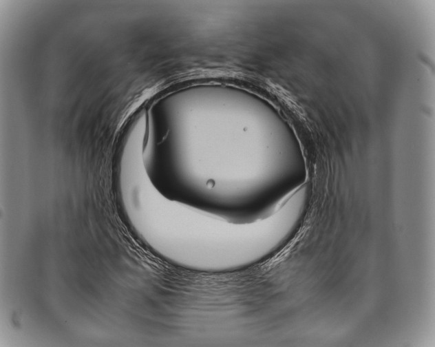 X0000098001165200804141200