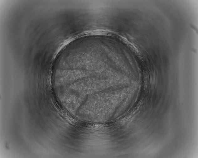 X0000098001166200804141159