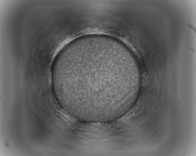 X0000098001167200804141159